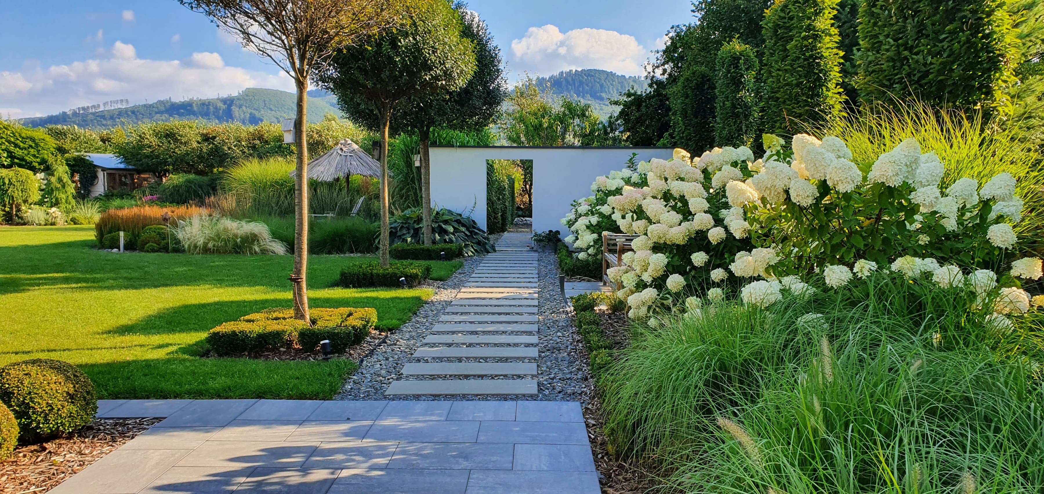 Gepflegter moderner Garten mit Natursteinweg, weissen Hortensien und Sichtschutzmauer im Sommer